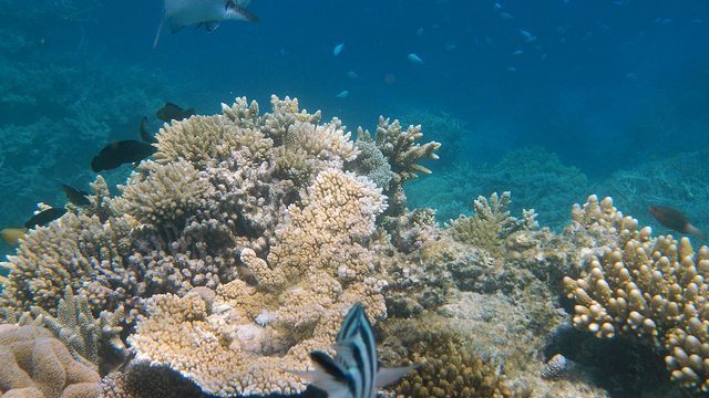 My Australian Property - Great Barrier Reef
